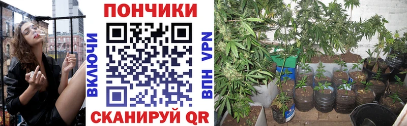 Магазин наркотиков Удомля Бошки Шишки  АМФ  Мефедрон  A PVP 