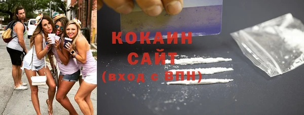 хмурый Аркадак