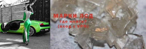 хмурый Аркадак