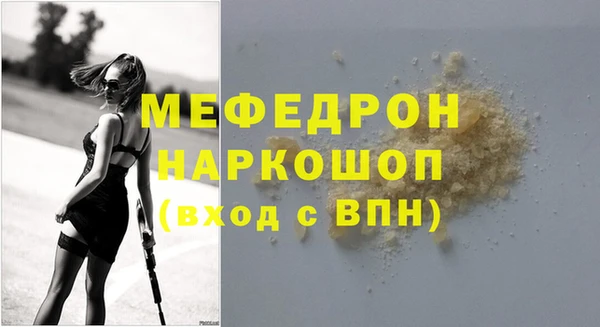 хмурый Аркадак