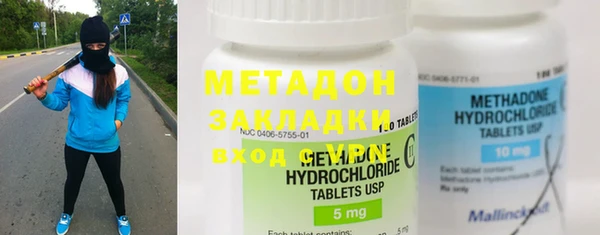 хмурый Аркадак