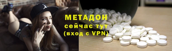 хмурый Аркадак