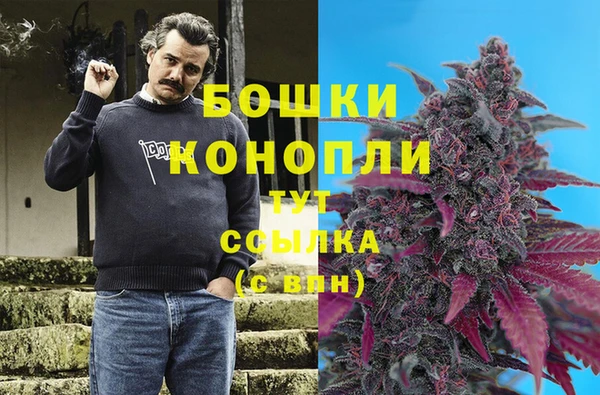 хмурый Аркадак
