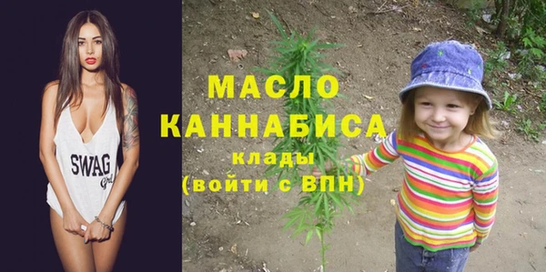 хмурый Аркадак