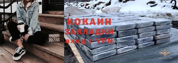 хмурый Аркадак