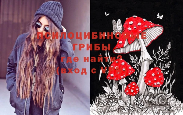 СК Арсеньев