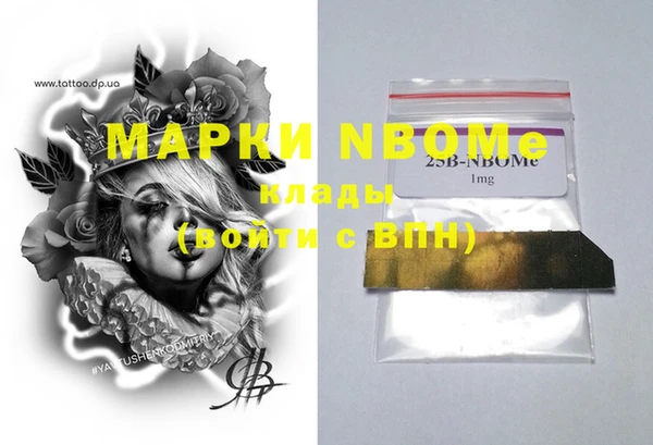хмурый Аркадак